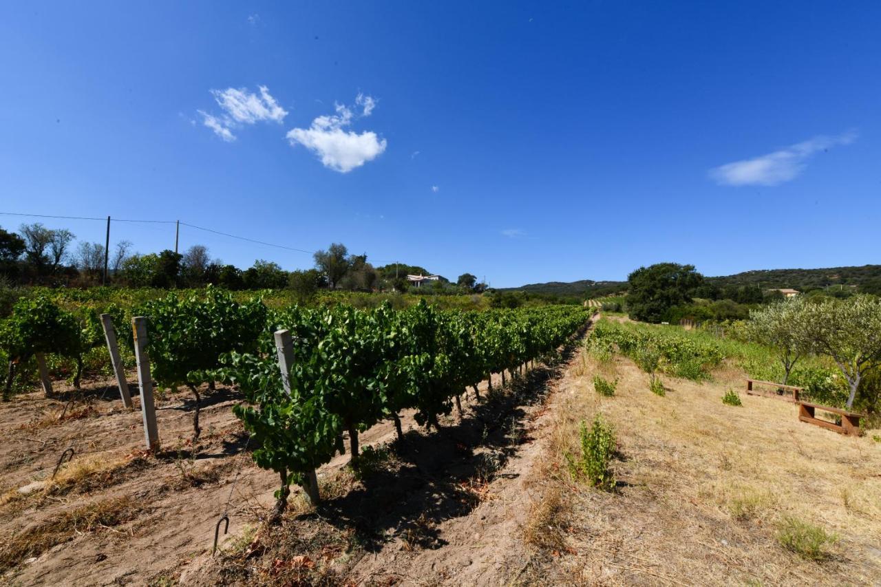 Bentosa Villa Enas Bagian luar foto